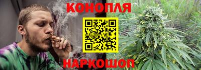 mdpv Гатчина